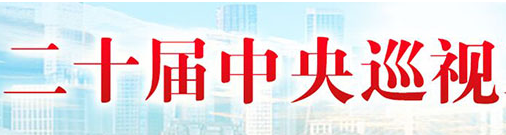 江西南昌新建区:聚焦群众关切 提升巡察质效